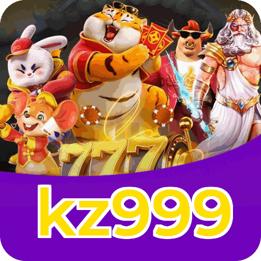 Interface kz999